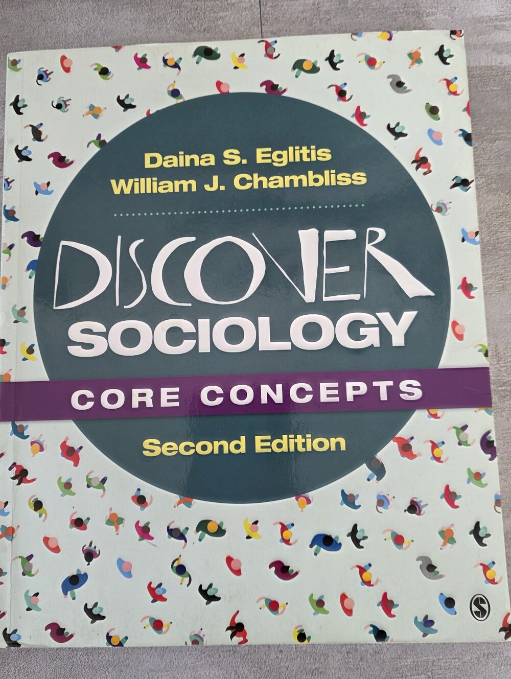 Discover Sociology Core Concepts 2nd Edit. Daina S Eglitis & William J Chambliss